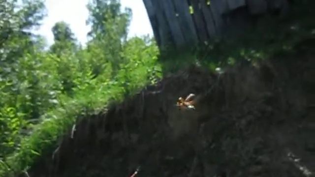 Майский жук смотреть онлайн