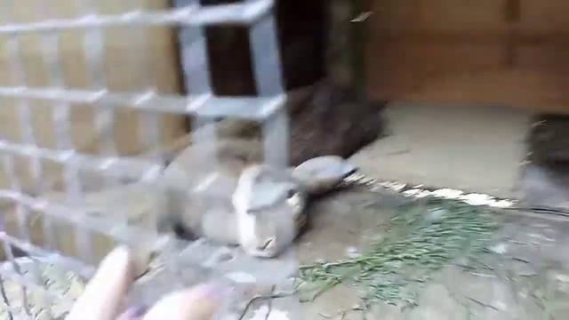 Лера больше не родит... смотреть онлайн