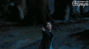 Harry Potter coffin dance season 5 (голосом бурундука)