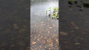 Кузбасс. Путешествие по Междуреченску. часть 2 Прыгуны с трамплина. Летом)))