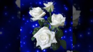 Эти белые розы