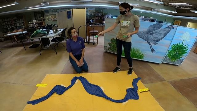 Rio Bravo Activity Part 1 смотреть онлайн