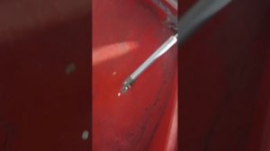 бурлак беркут капот без проблем