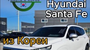 Искать по местности или привезти?! 🚗🔥