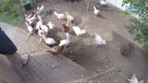 Прозрачный фильтр! Зачем он нужен? Эксперименты с прозрачной колонной!