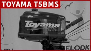 Обзор мотора TOYAMA T5 BMS