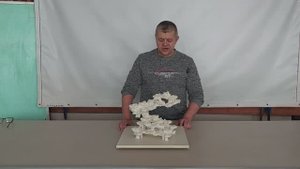 ДФМ-158 Декорация для морского аквариума из биокераики.