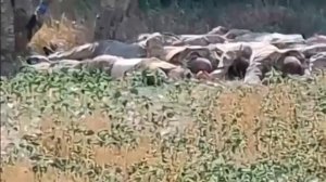 "Взяли Курск за 3 дня"