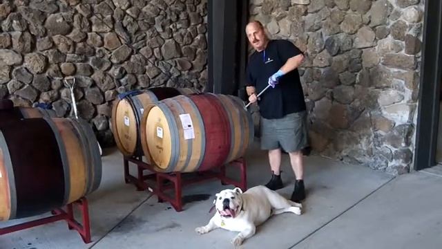 Winery Equipment Barrel Turner смотреть онлайн