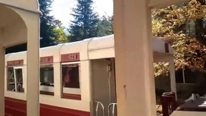 Поездка на узкоколейке "кукушка" из Боржоми в Бакуриани