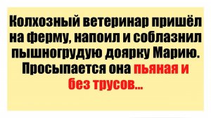 Просыпается она пьяная и без трусов - Смешные анекдоты