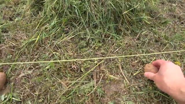 Как посадить картошку НЕ КОПАЯ землю, НЕ ОКУЧИВАЯ и вообще никак НЕ УХАЖИВАЯ за ней Новый способ! смотреть онлайн