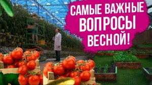 Огородные хлопоты. Отвечаем на ваши вопросы!