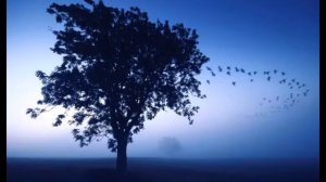 Умолкли птичьи голоса... Христианская песня