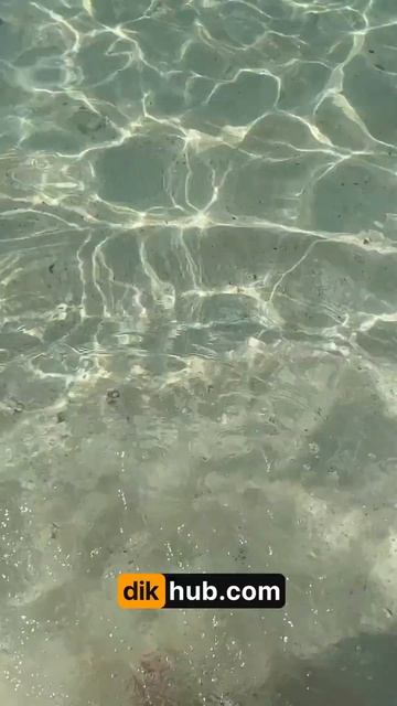 Luxury Girl перепутала Таиланд и Мальдивы смотреть онлайн