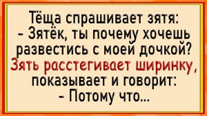 Как тёща зятю помогла! Сборник свежих анекдотов! Юмор!