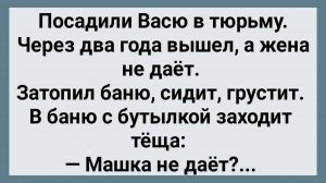 Как Вася из Тюрьмы Вышел! Сборник Свежих Анекдотов! Юмор!