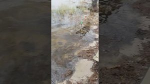 рыбалка в шатуре на озере "святое" 12.04.24