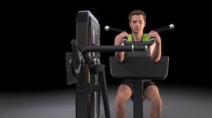 DHZ Fitness - EVOST II Dual Function - A3087 Biceps_Triceps