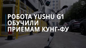 Робота Yushu G1 обучили приемам кунг-фу