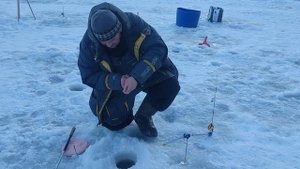 Поимки форели!!!