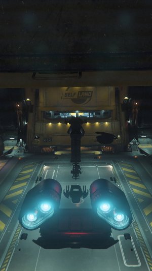 StarCitizen. работа ангаров