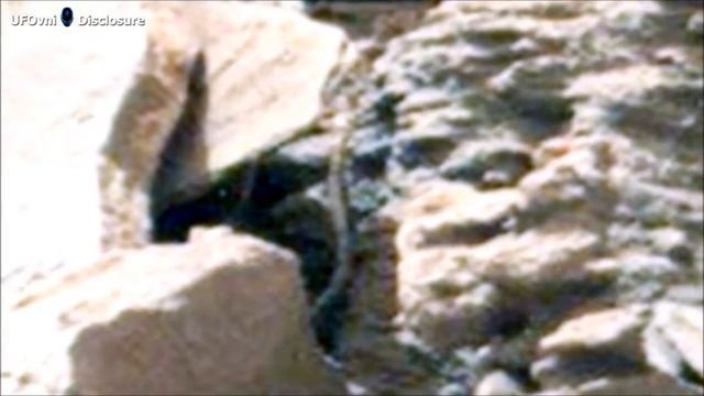 змея на марсе смотреть онлайн