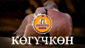 БЕК БОРБИЕВ - Көгүчкөн  #БЕК #БОРБИЕВ #БЕКБОРБИЕВ #КӨГҮЧКӨН