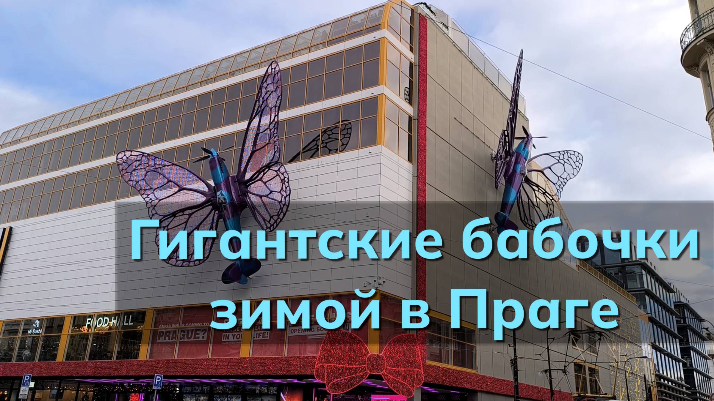 Гигантские бабочки зимой в Праге! Чешская республика