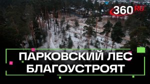 «Новое место притяжения» - живописный Парковский лес благоустроят для прогулок