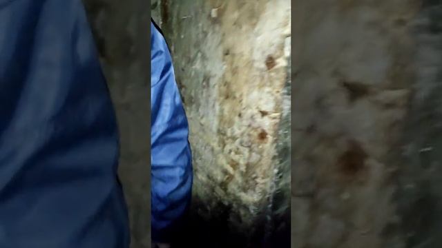 Подземки Тамбова, подземных ход  #ФВФ  #Подземки #ПодземныйТамбов