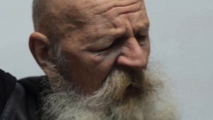 "Гомін, гомін по діброві"