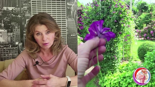 Болезни клематисов. Обучение на вебинаре 7 смотреть онлайн