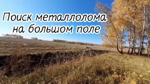 Поиск металлолома на большом поле