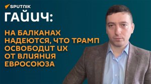 Гайич: на Балканах надеются, что Трамп освободит их от влияния Евросоюза