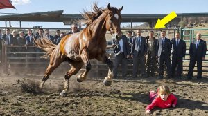 ДЕВУШКУ РАДИ ЗАБАВЫ БРОСИЛИ В ЗАГОН ДЛЯ ЛОШАДЕЙ... ЕЕ РЕАКЦИЯ ВАС ШОКИРУЕТ