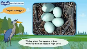 11. Meet the Animals | Great Blue Heron | Wild Animals | Stories for Kindergarten