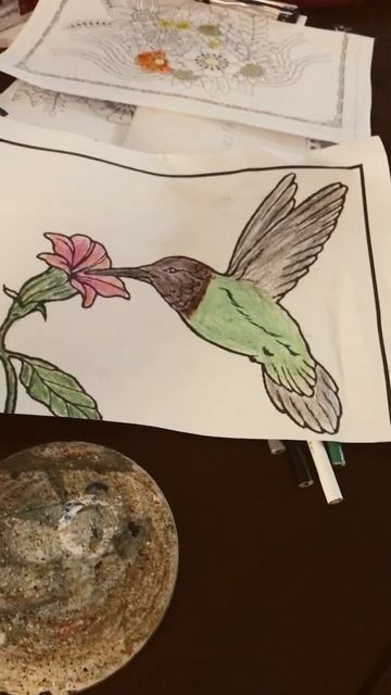 adult color 🖍of hummingbird at flower geting dinner subscribe смотреть онлайн