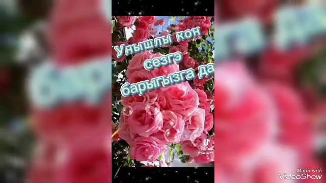 Пар юкә смотреть онлайн