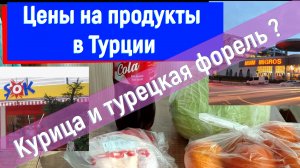 И курица, и форель! Дорого ли? Мой чек на продукты в Турции!