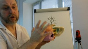 Лечение сколиоза: мифы и реалии. Самый эффективный метод.