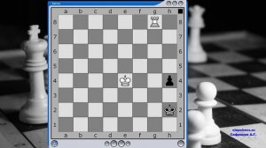 Задание №5  Ладья против 1 пешки