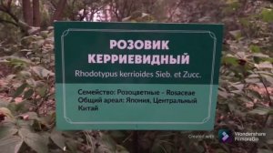 Крым, Курортное, Биостанция!