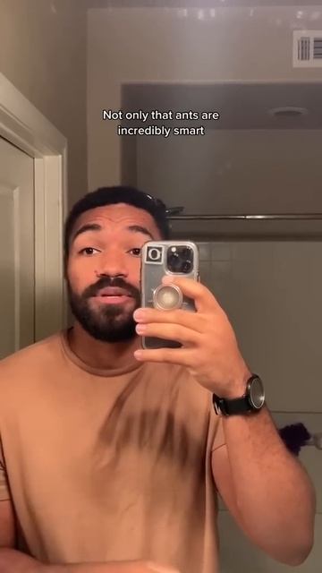 Ants are truly terrifying #no смотреть онлайн