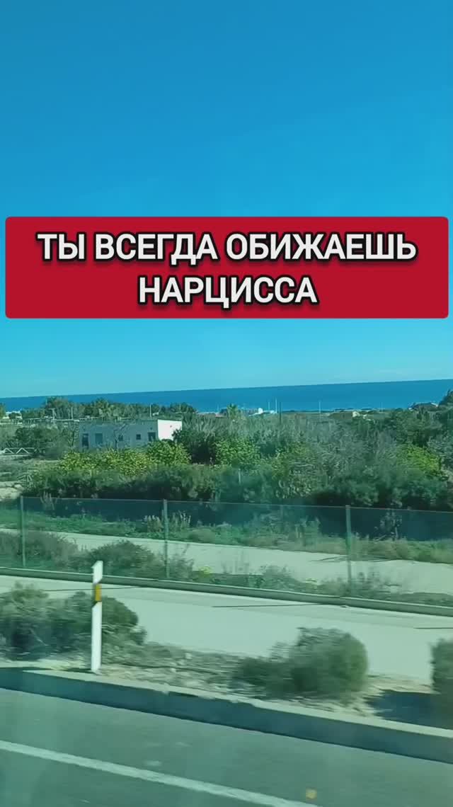 ТЫ ВСЕГДА ОБИЖАЕШЬ НАРЦИССА смотреть онлайн