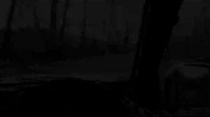 Мрачный лес. Прогулка 4х4.Музыка от @LeanJe