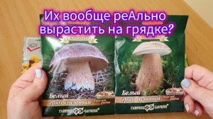 12.02.2024 СЕМЕНА на 2024г!☘️Обзор семян с агроф.Садовый мир!🍄Их реально вырастить в грядке_🤔