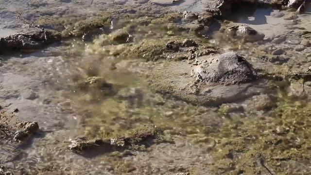 Музыка для сна, снятия стресса, медитации и спокойствия.Music for sleep, relax, meditation смотреть онлайн