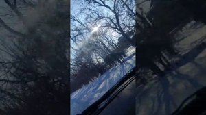 Купила им корма и приехала.