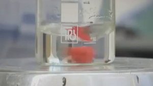 Фильм о жизни и творчестве академика РАН Ю П Алтухова